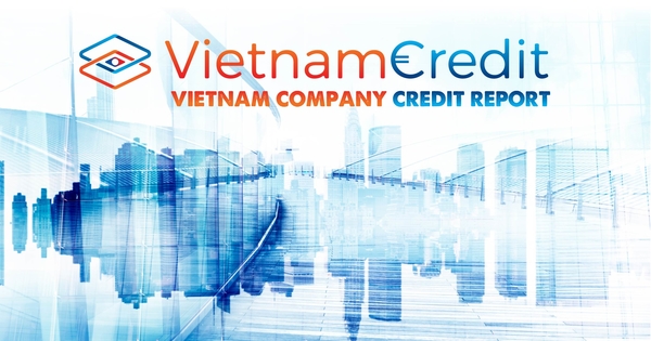 Vietnam Credit - VIETNAM COMPANY CREDIT REPORT 